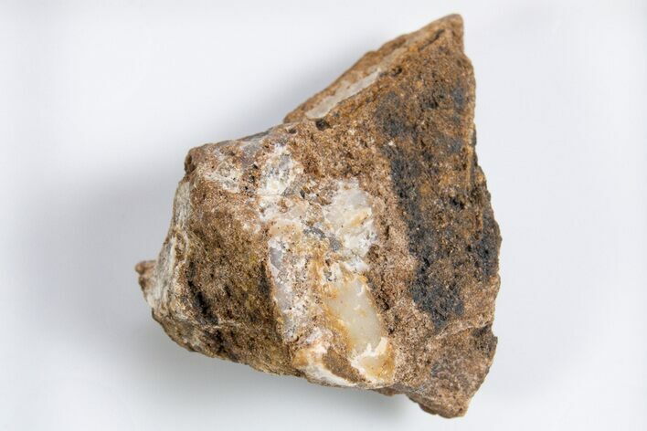 Rare North Pole Dome Stromatolite Piece - Billion Years Old #323153